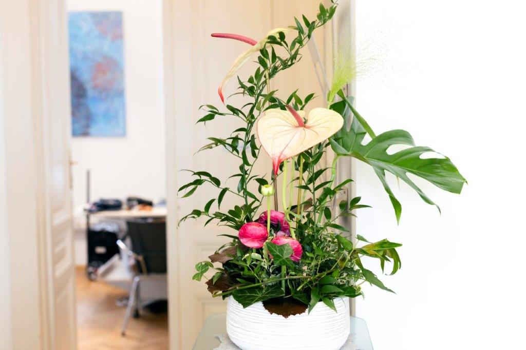 Empfangsbereich der Ordination Dr. Aumayr Korneuburg